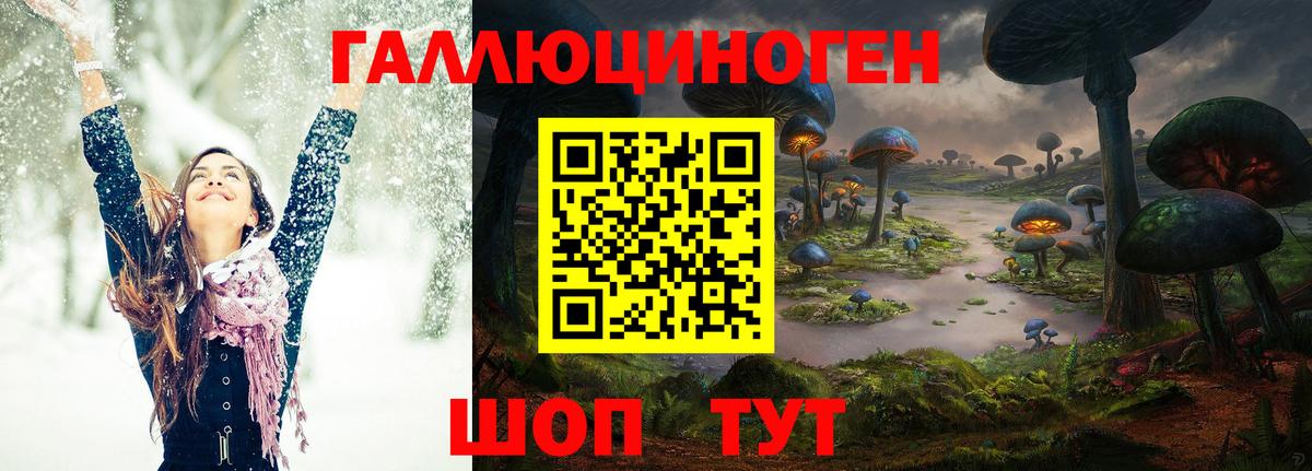 Псилоцибиновые грибы Psilocybine cubensis  Галлюциногенные грибы мицелий  Владикавказ  Вход с VPN 